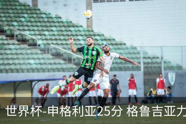 世界杯-申格利亚25分 格鲁吉亚力克委内瑞拉