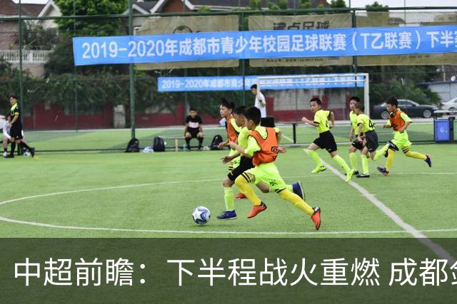 中超前瞻：下半程战火重燃 成都剑指三分申花求反弹