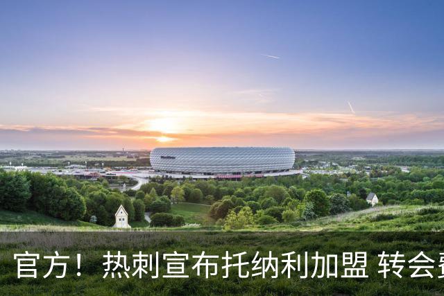 官方！热刺宣布托纳利加盟 转会费1亿镑再破队史纪录